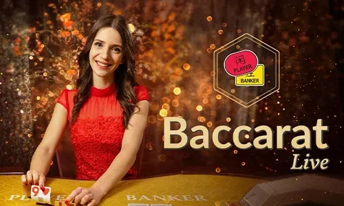 Live Dealer Casino Experience